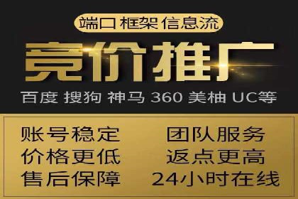 百度推广实战：成功案例解析